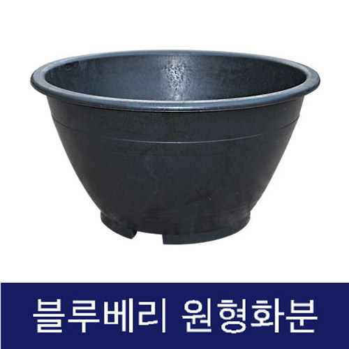 고무다라 원형화분 (블루베리) 500Φ*H330